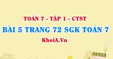 Bài 5 trang 72 SGK Toán 7 Chân trời sáng tạo tập 1